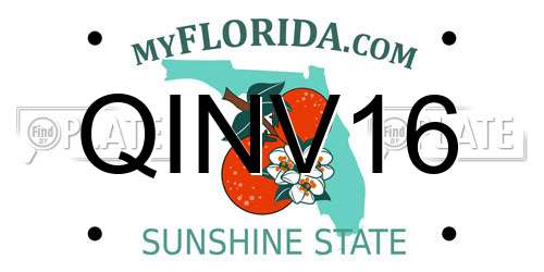 QINV16 Florida License Plate