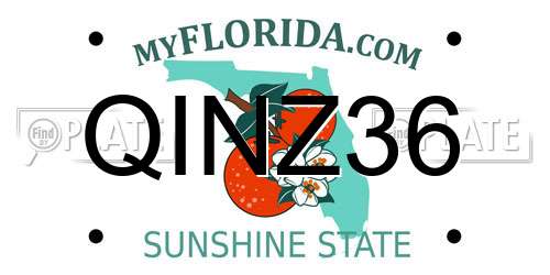 QINZ36 Florida License Plate