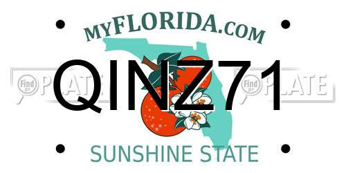 QINZ71 Florida License Plate
