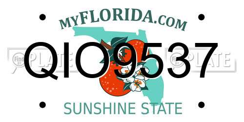 QIO9537 Florida License Plate