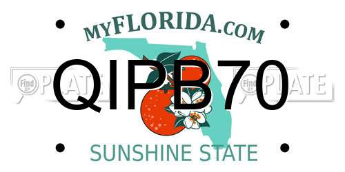 QIPB70 Florida License Plate