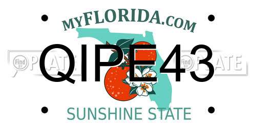 QIPE43 Florida License Plate