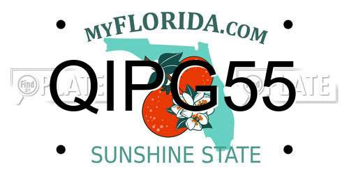 QIPG55 Florida License Plate