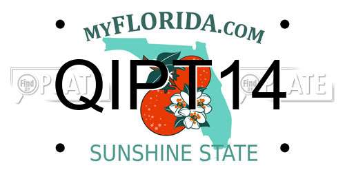 QIPT14 Florida License Plate
