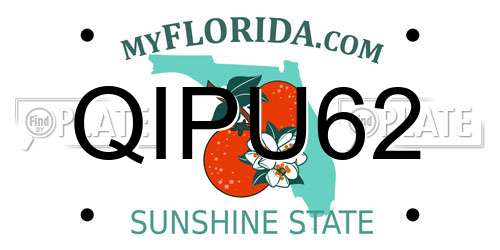 QIPU62 Florida License Plate
