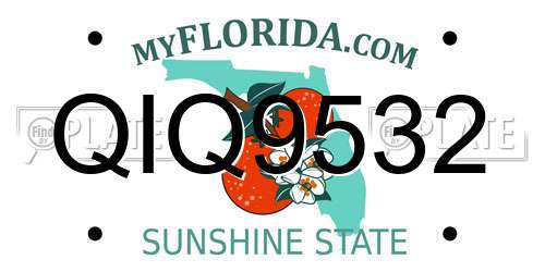 QIQ9532 Florida License Plate