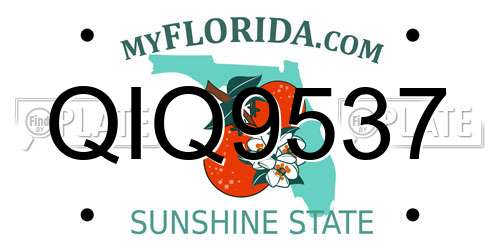 QIQ9537 Florida License Plate