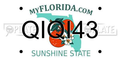 QIQI43 Florida License Plate