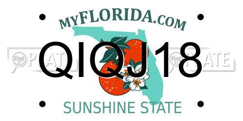 QIQJ18 Florida License Plate