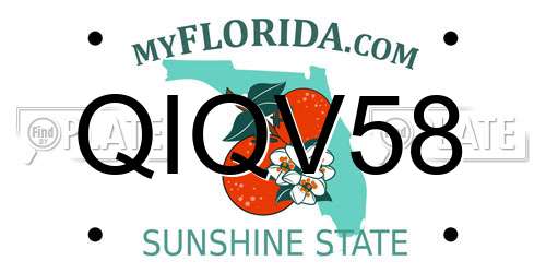 QIQV58 Florida License Plate