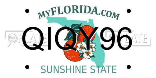 QIQY96 Florida License Plate