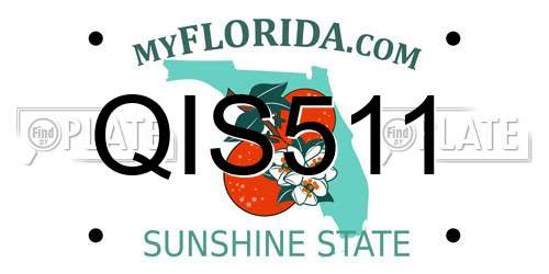 QIS511 Florida License Plate