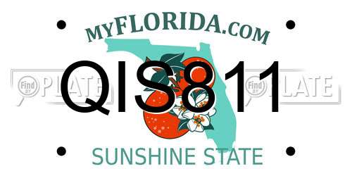 QIS811 Florida License Plate