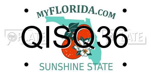 QISQ36 Florida License Plate