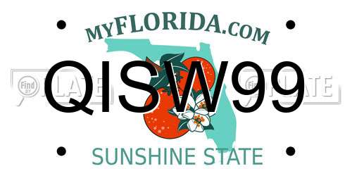 QISW99 Florida License Plate