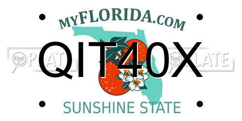 QIT40X Florida License Plate