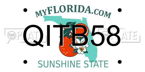 QITB58 Florida License Plate