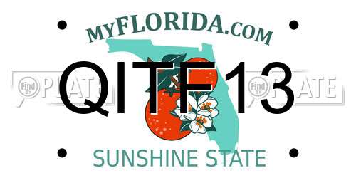 QITF13 Florida License Plate
