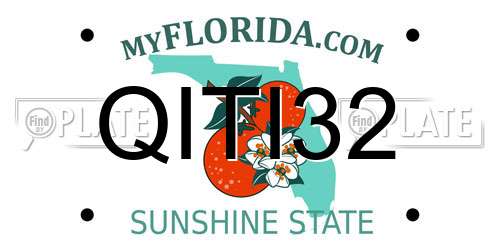 QITI32 Florida License Plate