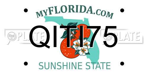 QITI75 Florida License Plate