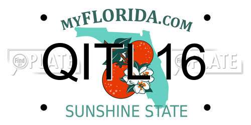 QITL16 Florida License Plate