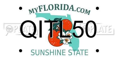 QITL50 Florida License Plate