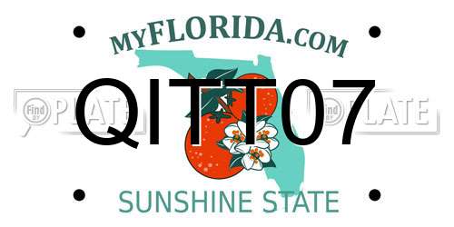 QITT07 Florida License Plate