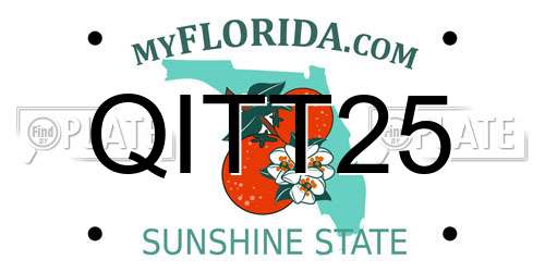 QITT25 Florida License Plate