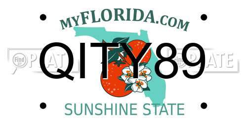 QITY89 Florida License Plate