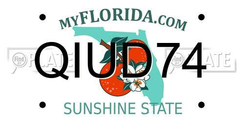 QIUD74 Florida License Plate