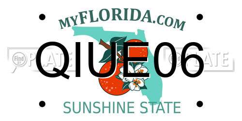 QIUE06 Florida License Plate