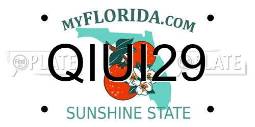 QIUI29 Florida License Plate