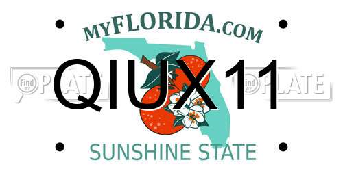 QIUX11 Florida License Plate