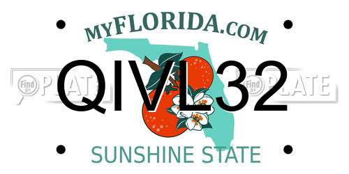 QIVL32 Florida License Plate