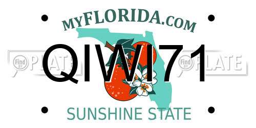 QIWI71 Florida License Plate