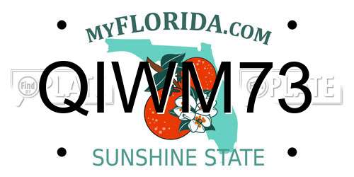 QIWM73 Florida License Plate