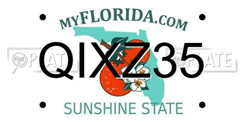 QIXZ35 Florida License Plate