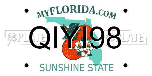 QIYI98 Florida License Plate