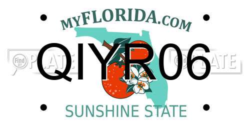 QIYR06 Florida License Plate