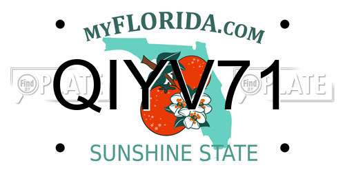 QIYV71 Florida License Plate