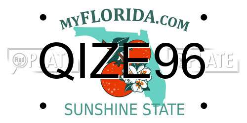 QIZE96 Florida License Plate
