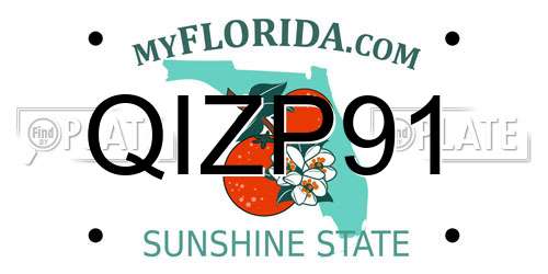 QIZP91 Florida License Plate