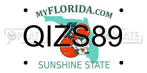 QIZS89 Florida License Plate