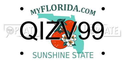 QIZV99 Florida License Plate
