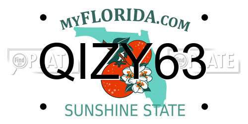 QIZY63 Florida License Plate