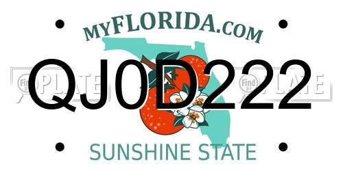 QJ0D222 Florida License Plate