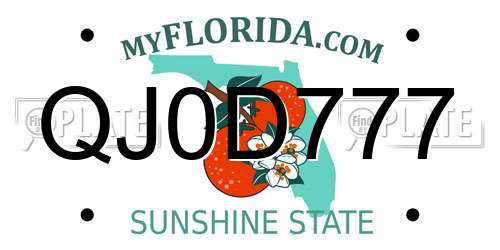 QJ0D777 Florida License Plate