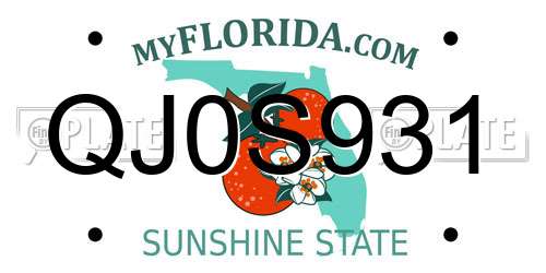 QJ0S931 Florida License Plate