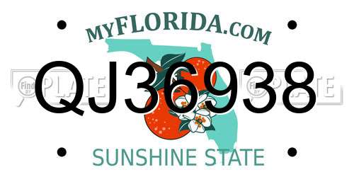 QJ36938 Florida License Plate