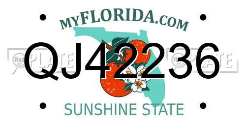 QJ42236 Florida License Plate